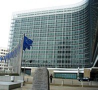 The European Commission : a mirror for national realities