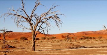 Le génocide en Namibie : la fin d'une amnésie allemande