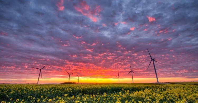 „Eine intakte Umwelt ist die Grundlage für unsere Gesellschaft“