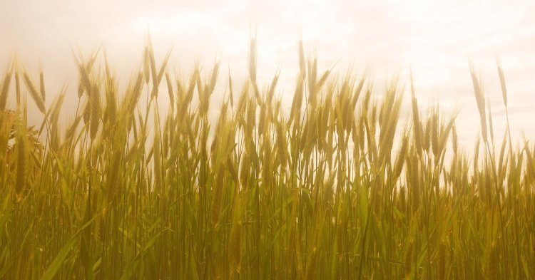 Klimawandel – So steigen die Temperaturen in Europa