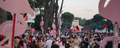 La rivoluzione dei fenicotteri. Il significato che ha per l'Unione europea