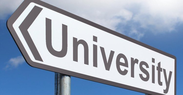 Una giungla di carta: competitività e università