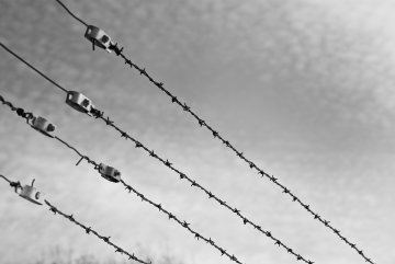 Antisémitisme à Auschwitz : l'Europe (encore une fois) au bord d'un précipice
