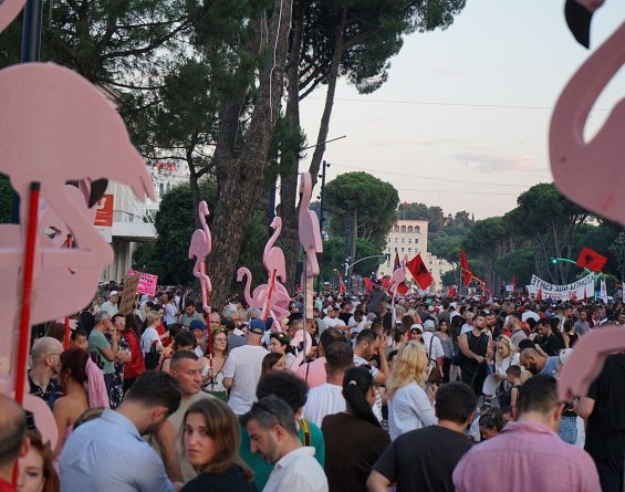 La rivoluzione dei fenicotteri. Il significato che ha per l'Unione europea