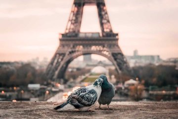 Bridging East and West – An Erasmus love story
