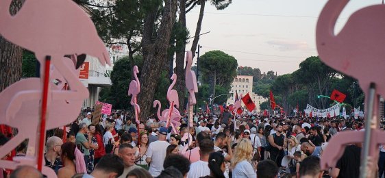 La rivoluzione dei fenicotteri. Il significato che ha per l'Unione europea