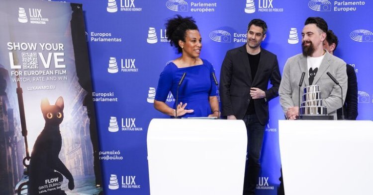 FLOW : 2025 LUX Audience Award, a mirror of today's society