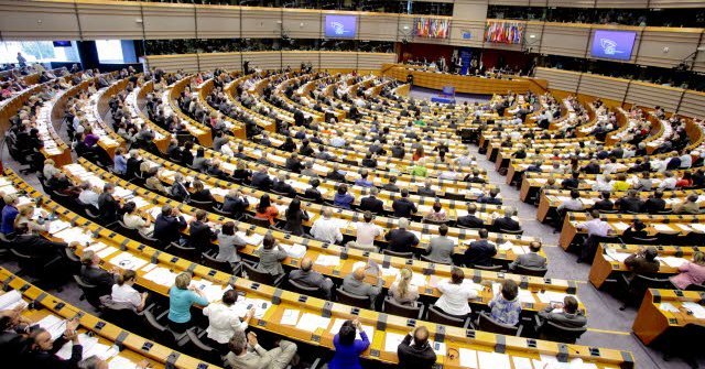 Can a separation of the European Parliament be the solution?