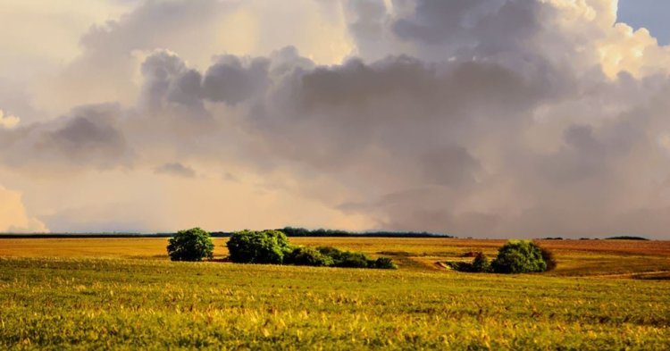 Déficit commercial : l'agriculture française à la recherche d'un nouveau souffle